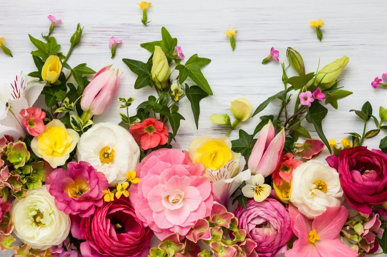 Fresh Flowers
